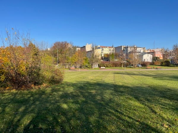 Arena sportowa - podstawowe boisko do gier zespołowych