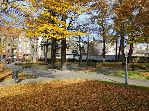 Miejska Biblioteka Publiczna im. Edwarda Stachury w Nowej Soli