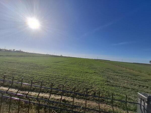 Boisko sportowe w budowie, działki 577/1, 578/1, obręb Bielina, Gmina Ujazd