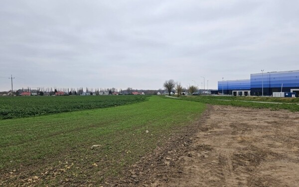 Teren rekreacyjny wyposażony w sportowy plac zabaw, siłownię plenerową, ścieżkę sportowo-edukacyjną