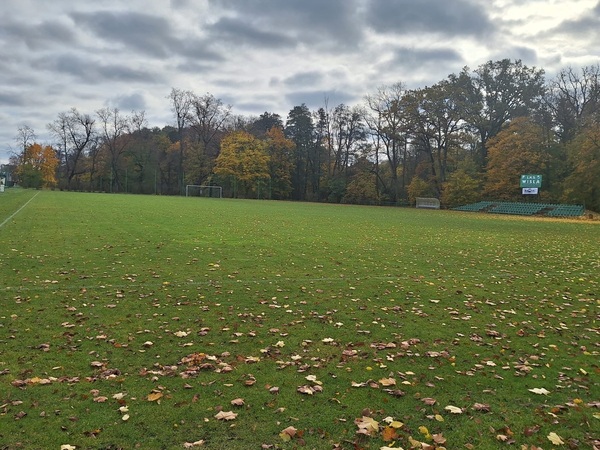 Boisko stadionu gminnego LKS