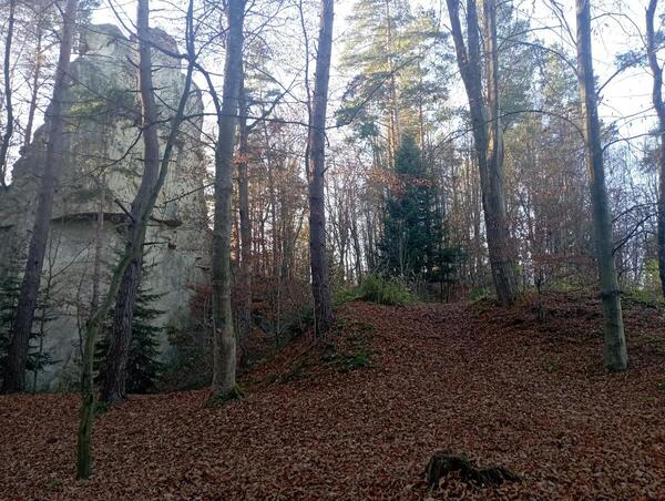 Park siłowy i tor przeszkód OCR w budowie