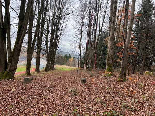 Stadion Miejski w Ustrzykach Dolnych