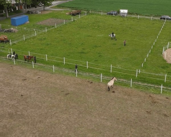 Zadaszony lonżownik – ( do prowadzenia zajęć jeździeckich i hipoterapii)